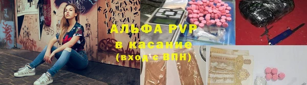 стаф Краснослободск