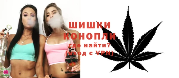 стаф Краснослободск