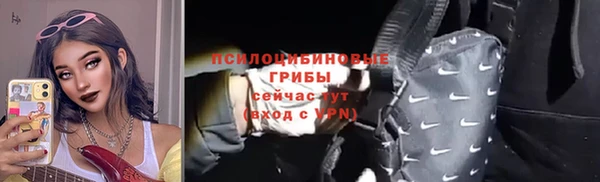 мдпв Коряжма