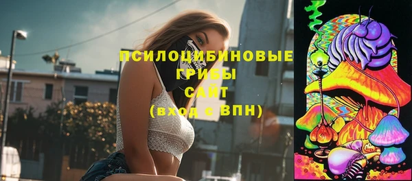 мдпв Коряжма