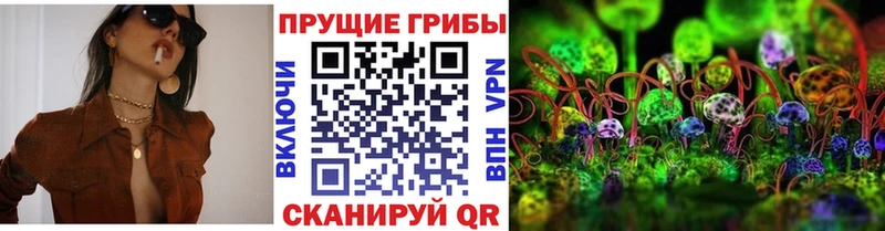 Псилоцибиновые грибы Cubensis  Шумерля 