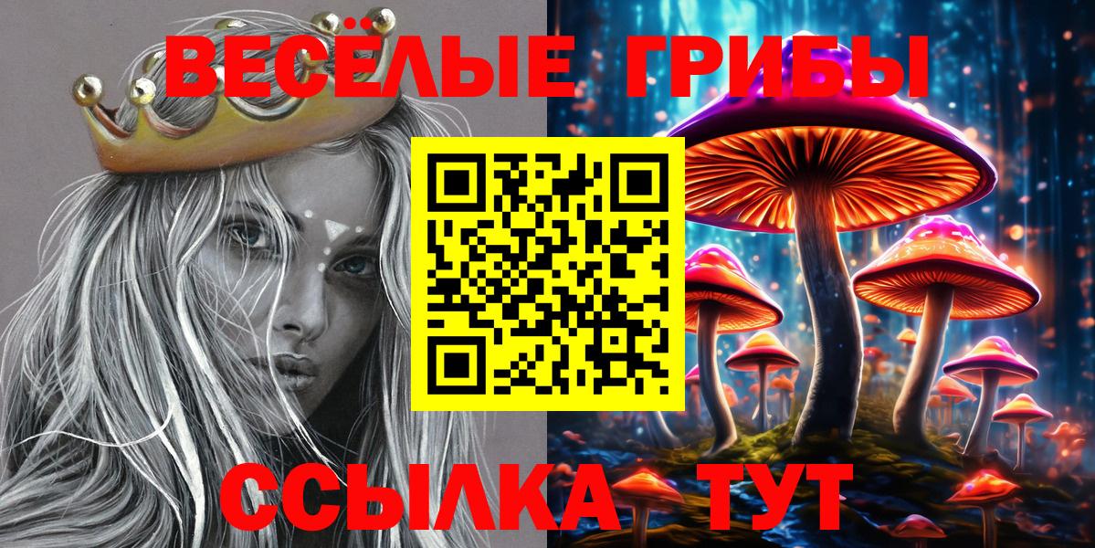 Галлюциногенные грибы мицелий Шумерля
